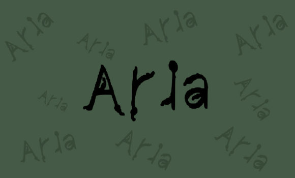 Aria: A Simple, Brushed Display Font for Clean Design