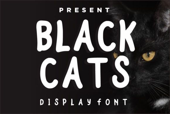 Black Cats